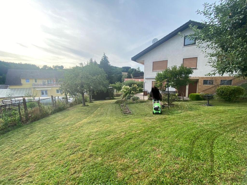 Ferien- Und Monteurwohnung Zum Waldblick Экстерьер фото